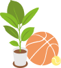 Illustration d'un pot avec une plante verte à côté d'un ballon de basket et d'une balle de tennis